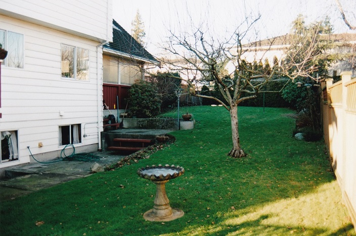 Backyard before